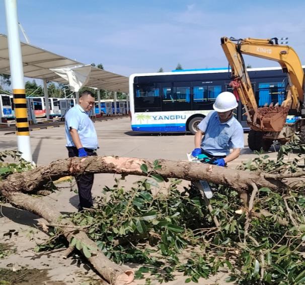 公交公司迅速響應(yīng)災(zāi)后清障工作，全力以赴恢復(fù)車輛運(yùn)營